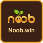 Noob.win